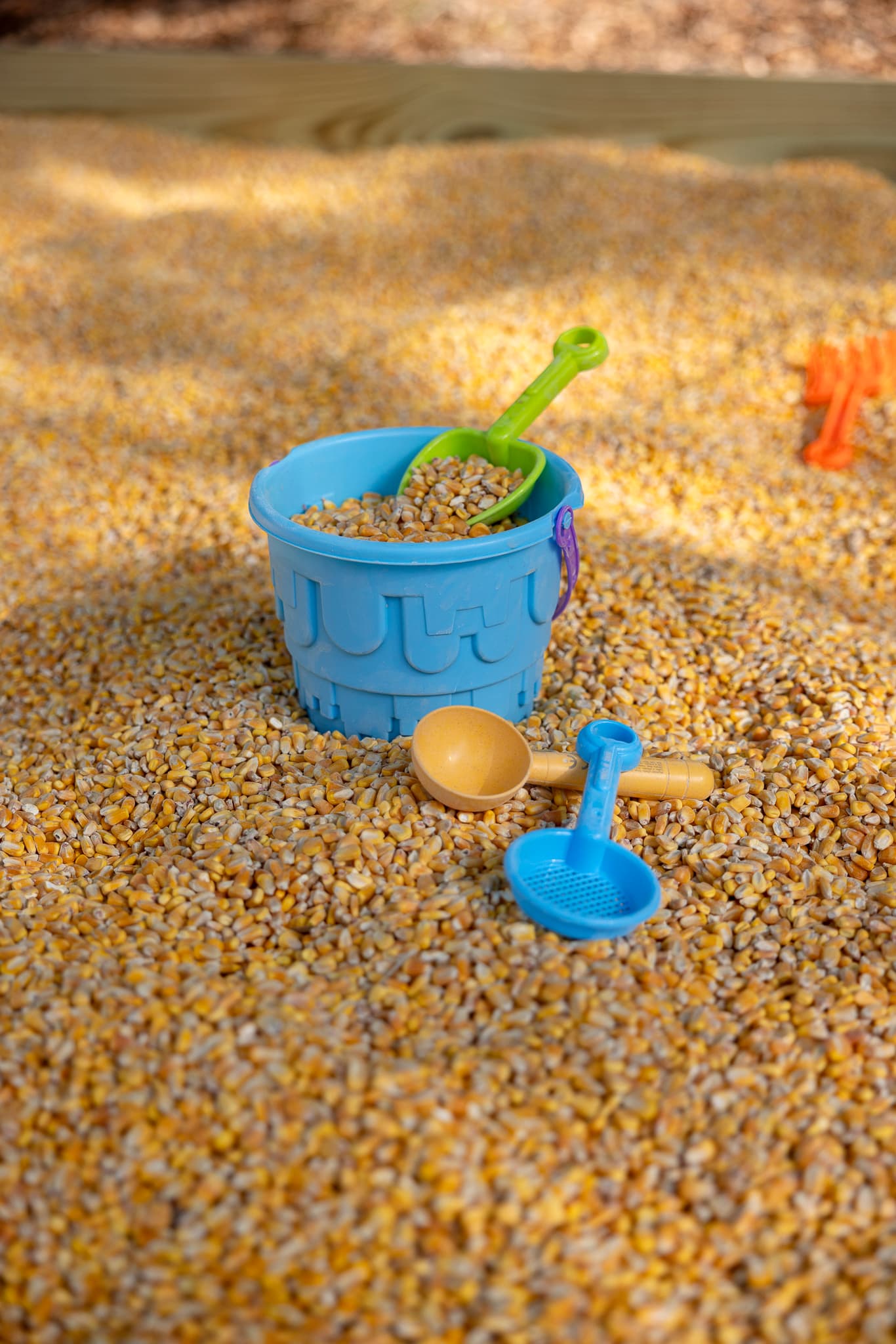Blue bucket filled with corn kernels sits in a corn pit with colorful plastic toys.
