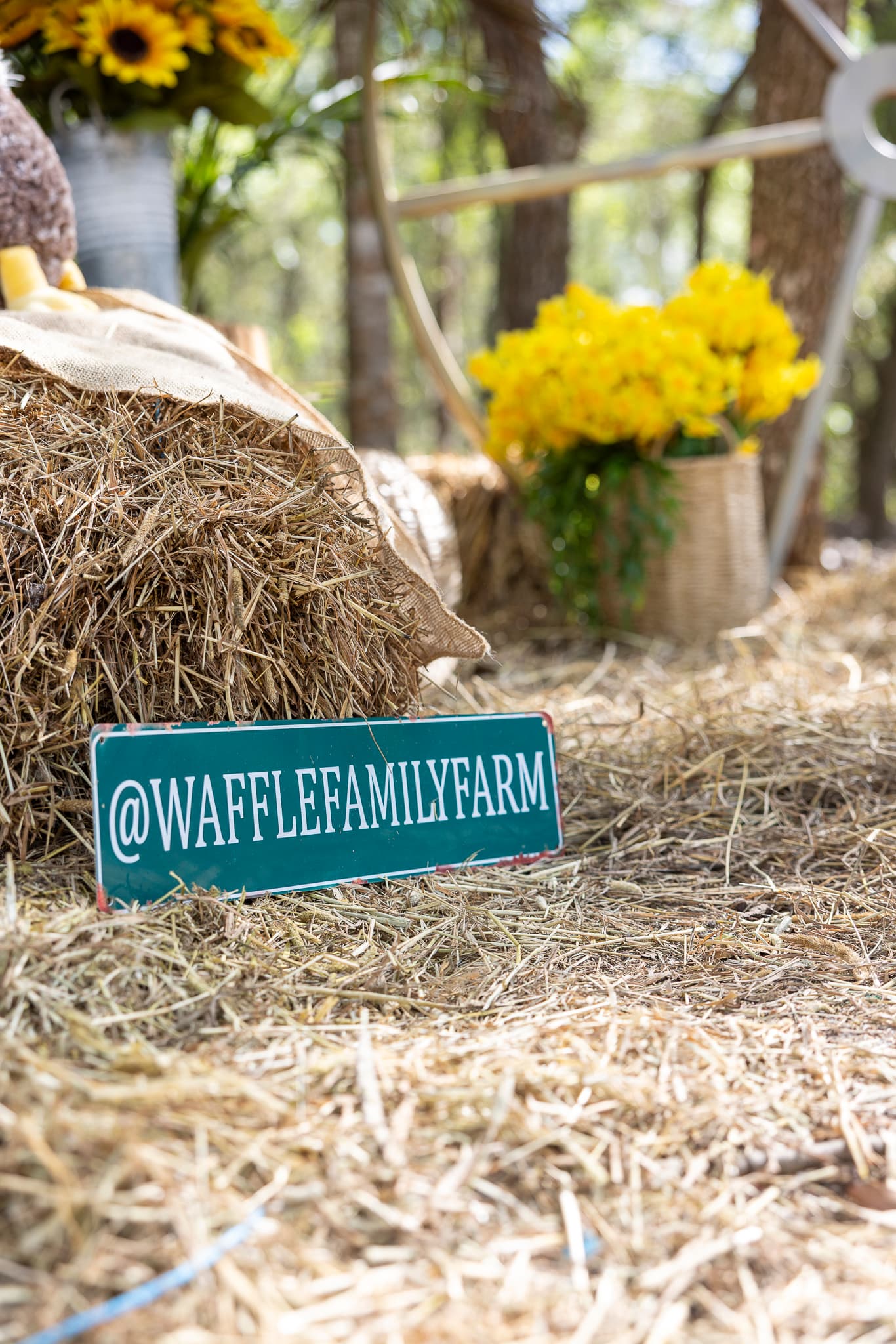 WaffleFamily Farm in Hudson, FL: A Peaceful Family Farm Experience Near Tampa Bay